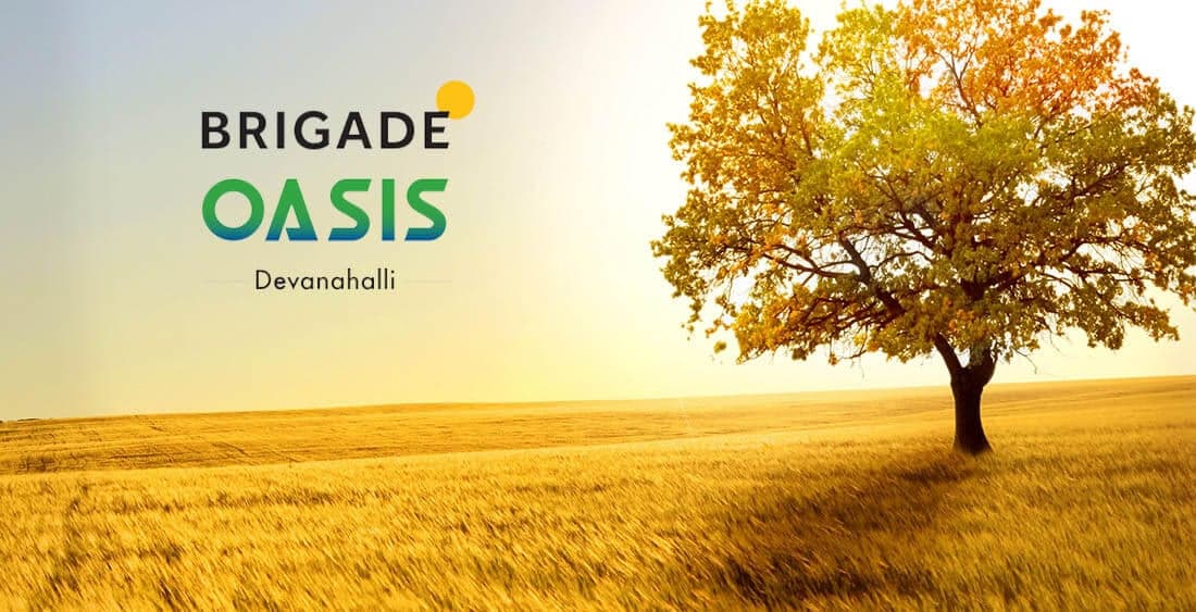 Brigade Oasis exterior