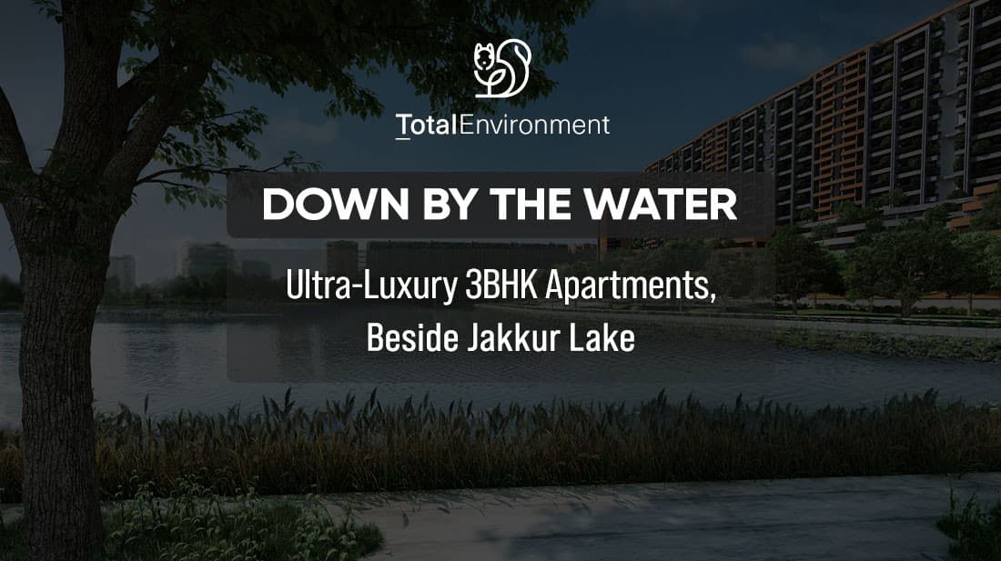Total Environment Wind Dance exterior