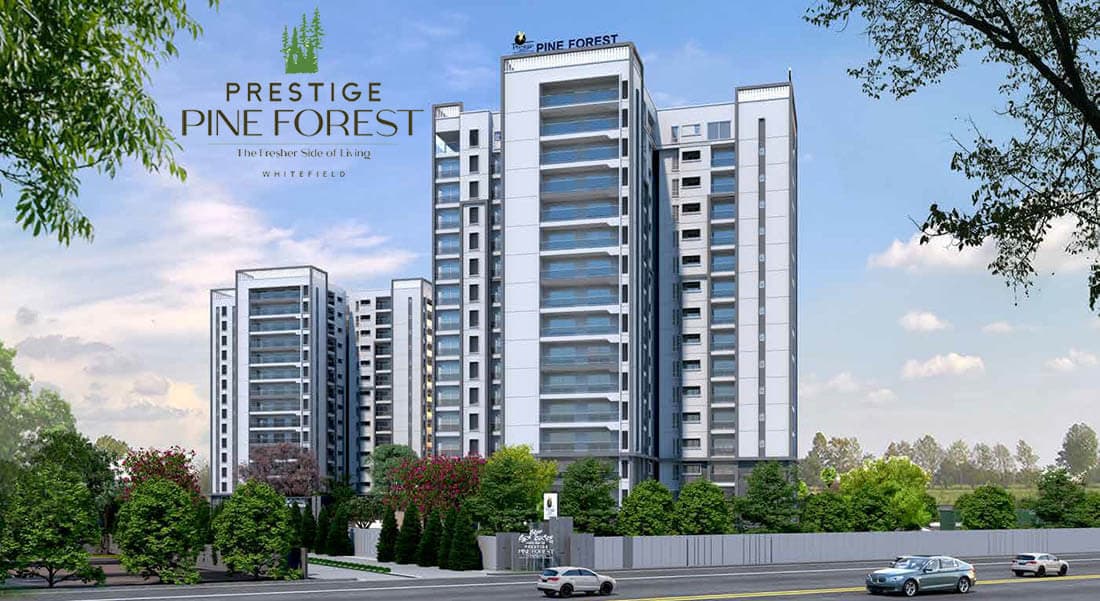 Prestige Pine Forest exterior